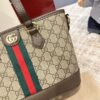 GUCCI Ophidia Small Tote Bag #2058