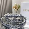 DIOR-Tiger Embroidered Princess Diana Bag#2112