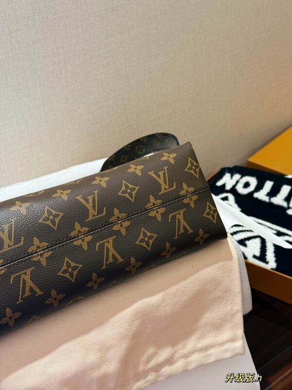 LV-CARRYALL  BB plush chain bag #2257