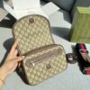 GUCCI-messenger bag #2269