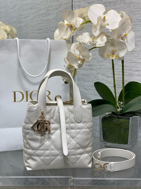 DIOR-TOUJOURS  vertical version #2281