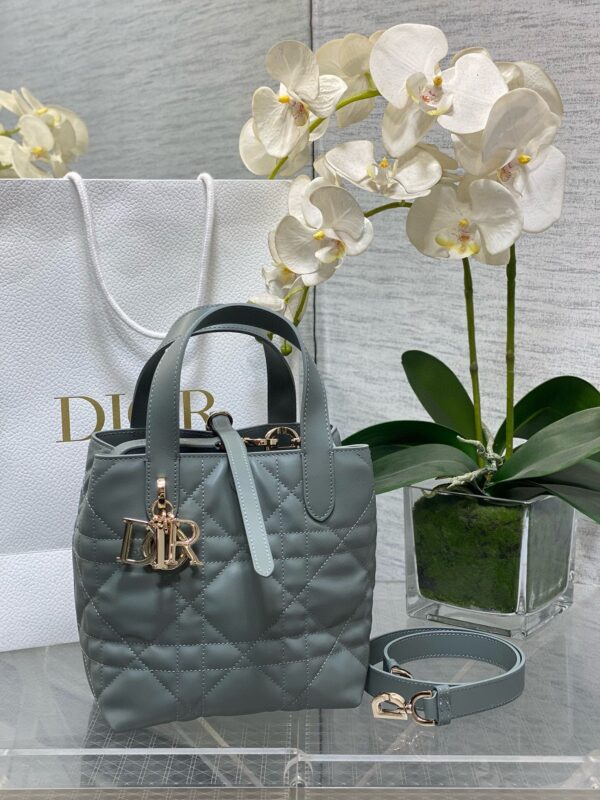 DIOR-TOUJOURS  vertical version #2281