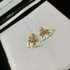 DIOR-Letter Earrings #2303