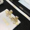 DIOR-Letter Earrings #2303