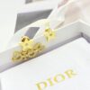 DIOR-Asymmetric Star and Letter Stud Earrings #2362