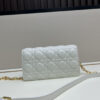 DIOR-chain bag#2075