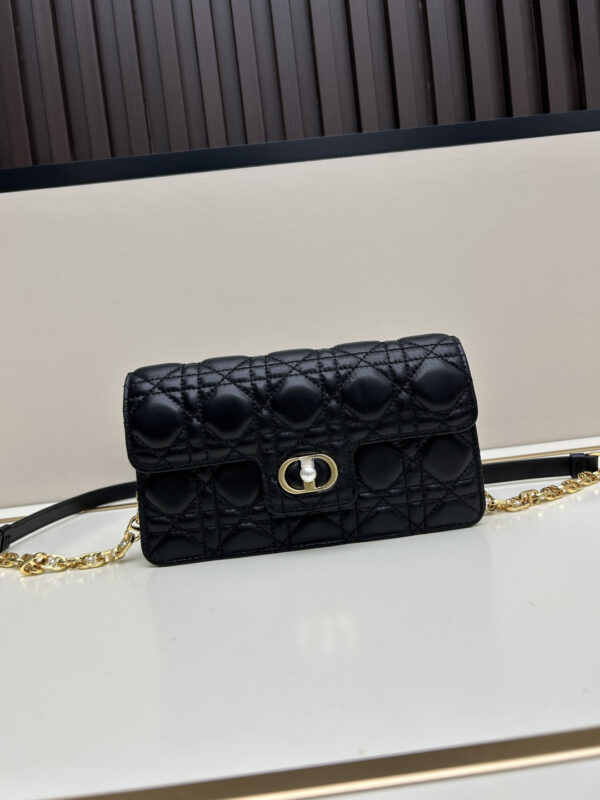 DIOR-chain bag#2075